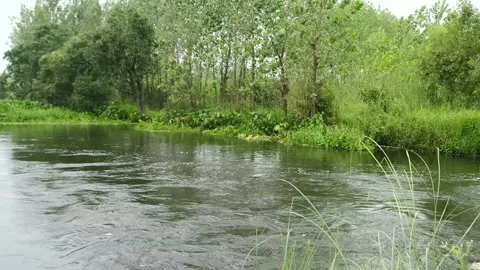Serene Green River Pathway Видео 343910045