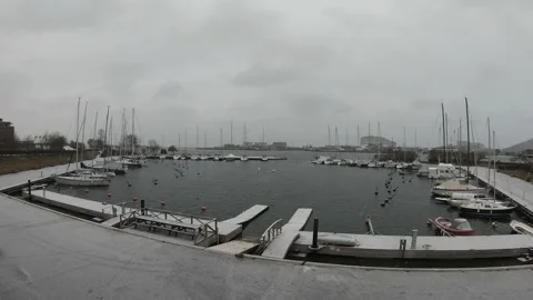 Serene Harbor View with Boats on a Cloudy Day 스톡 동영상 332671545
