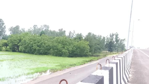 Serene Highway Along Green Fields Stock-Footage 343909202