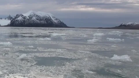 Serene Ice Floes Dance on the Arctic's Glimmering Surface Stock Footage 340483968