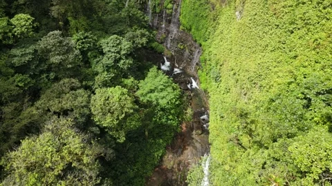 Serene Jungle Waterfall Stock Footage 170710645