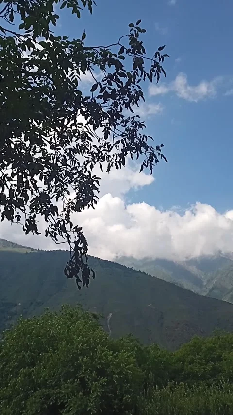 Serene Kashmir Mountain Valley Forest Clouds 4K | KSH-MTN-2026-06 Stock Footage 337221835