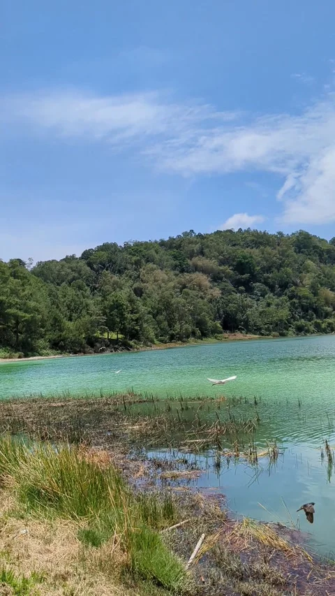 Serene Lagoon Landscape Stock Footage 290034922