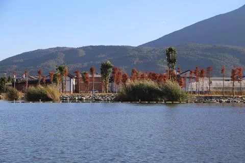 Serene lake bordered by red-leafed trees and low buildings Stock-Fotos