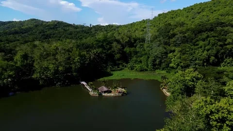 Serene Lake with Floating Cottage Surrounded by Lush Tropical Forest in the Phil Видео 341357461