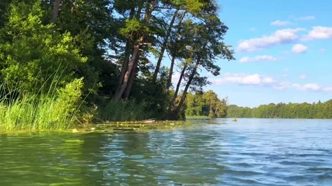 Serene Lake with Forest Reflection, Slow Motion Shot Stock Footage 282274057