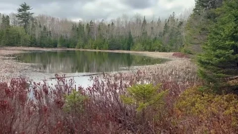 Serene Lake in a Forested Landscape with Dramatic Sky Stockbeeldmateriaal 348231350