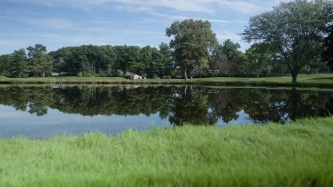 Serene Lake Reflection with Green Grass and Trees on Sunny Day 動画素材 332711209
