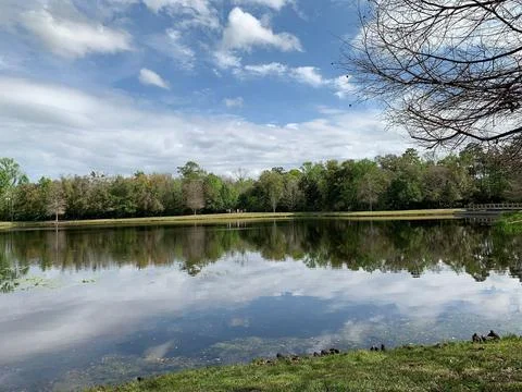 Serene Lake with Reflections Stock Photos