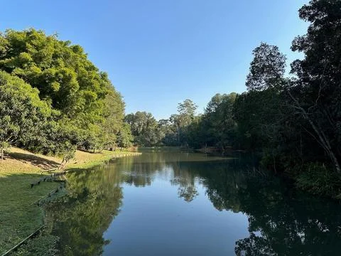 Serene lake with reflections of trees Stock Photos