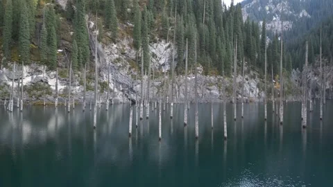 Serene lake with submerged trees, camera pans across tranquil water surface 库存影片 323300959