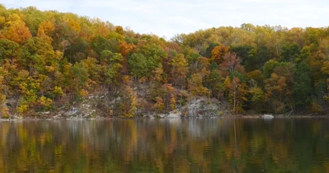 Serene Lake Surrounded by Dense Forest Stock Footage 262401313