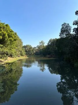 Serene lake surrounded by forest Stock Photos