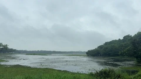 Serene Lake Surrounded by Green Trees Under Overcast Sky Video stock 340499199