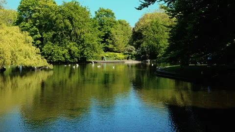 Serene lake surrounded, lush trees in a public park in Dublin, Ireland Stock Footage 339013293