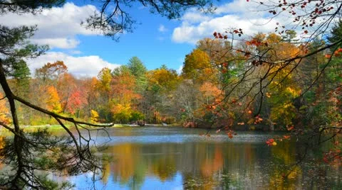 Serene lake timelapse during fall colors Stock Footage 17883221