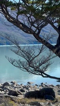 Serene lake with tree Stock Photos