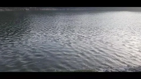 Serene Lake View from Bed Stock Footage 283448905