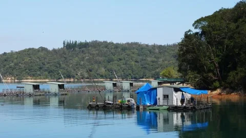 Serene Lake View with Floating Fishing Houses and Calm Water Stock Footage 268908853