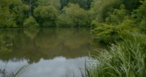 Serene lake view Stock Footage 111960395