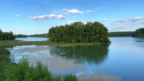 Serene Lake View with Forest Reflections on a Sunny Day, Aerial Shot Stock Footage 282274896