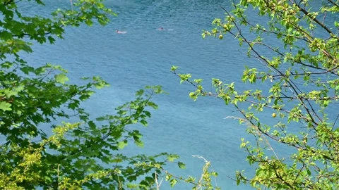 Serene lake view through swaying green foliage in spring breeze Stock Footage 331578807