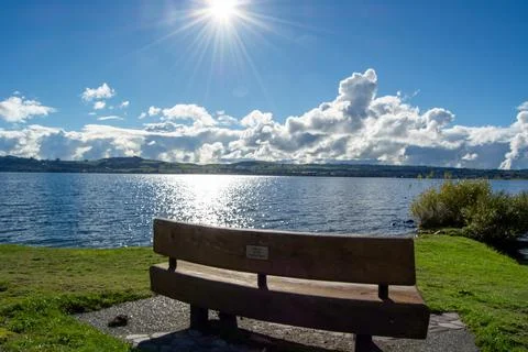 Serene Lakeside Bench with Sunlight Reflection Foto stock