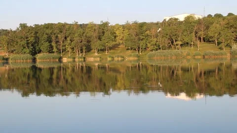 Serene Lakeside Forest Reflection at Sunset Stock Footage 312464051