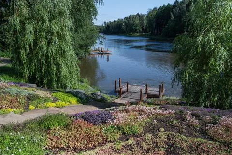 A Serene Lakeside Landscape Showcasing Vibrant Flora, Peaceful Calm Waters and Stock Photos
