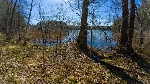 Serene Lakeside with Leafless Trees and Blue Sky Stock Photos