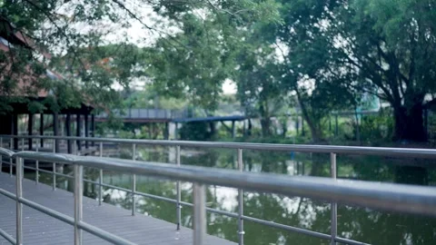 Serene Lakeside Pathway A tranquil path winds along a calm lake, inviting a leis Vídeos de archivo 331232433