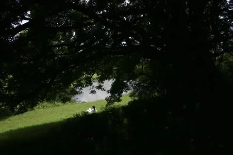 Serene lakeside reflection under a shady tree Stock Photos