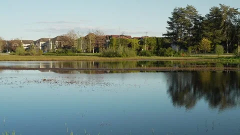Serene lakeside view with reflections of trees and buildings Stock Footage 276341925