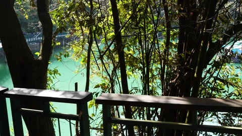 Serene Lakeside View Through Trees and Wooden Rail Stock Footage 268907744