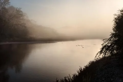 Serene landscape of birds on a river on a foggy morning in New Zealand Stock Photos