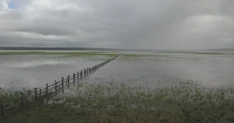 A Serene Landscape Featuring Flooded Fields Beneath Overcast and Gloomy Ski.. Stock Photos