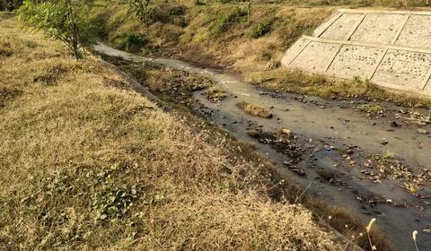 A serene landscape featuring a small stream running through dry grassland, .. 写真素材