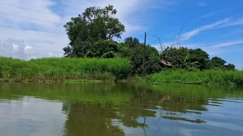 Serene landscape with green trees and calm water reflections Vídeo Stock 331807019