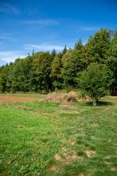 Serene landscape with haystack and trees Stock Photos