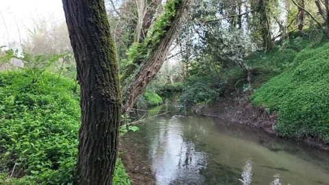 Serene Landscape with Stone Bridge and Waterfall Stock Footage 304183296