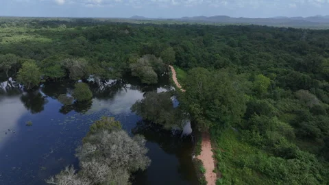 A serene landscape with a winding path and a calm water Stock Footage 302233613