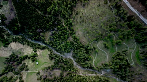 Serene landscapes reveal winding paths and flowing streams in a tranquil forest Stockbeeldmateriaal 314079953