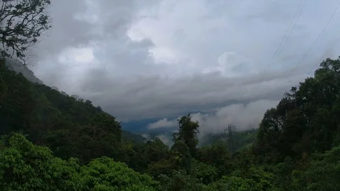 Serene looking landscape in a forest 動画素材 118581275