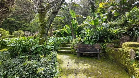 Serene Lush Garden with Bench Stock Footage 305274278