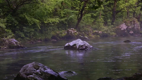 Serene morning mist over the voidomatis river Stock Footage 277923985