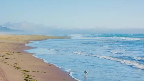 Serene Morning Waves Gently Lapping on a Secluded Oregon Coast Beach Stock Footage 326707614