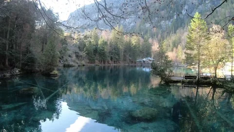 Serene Mountain Lake Surrounded by Forest Stock Footage 314616511