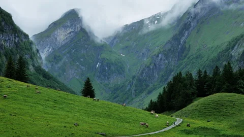 A Serene Mountain Landscape featuring Lush Greenery and a Charming Pathway to Stock Footage 315966474