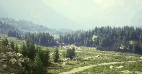 Serene mountain landscape with tall trees and winding path during daytime Ilustração Stock
