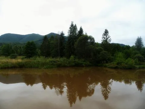 Serene Mountain Marsh Lake Stock Photos